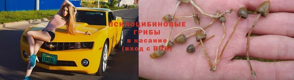 СК Лиски