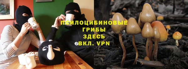прущая мука Лабытнанги