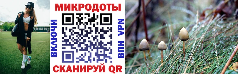 Псилоцибиновые грибы Psilocybe  где купить наркоту  Людиново 